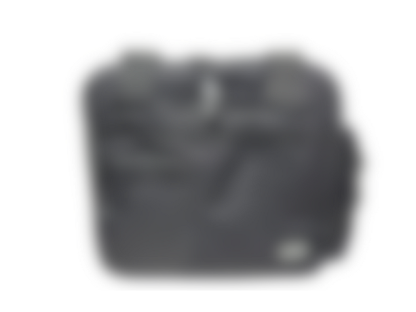 Flight Bag LITE