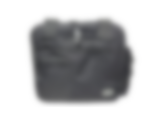 Flight Bag LITE